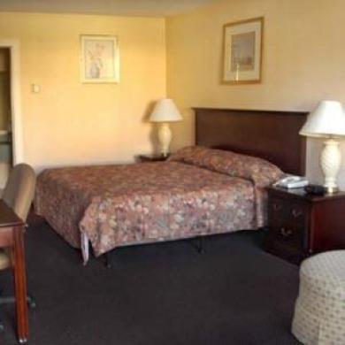 Super 8 By Wyndham Dover Habitación foto
